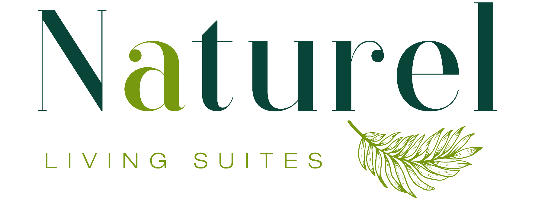 Logo Naturel (Provisional)_Mesa de trabajo 1